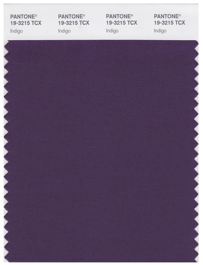 Pantone Smart 19-3215 TCX Color Swatch Card | Indigo