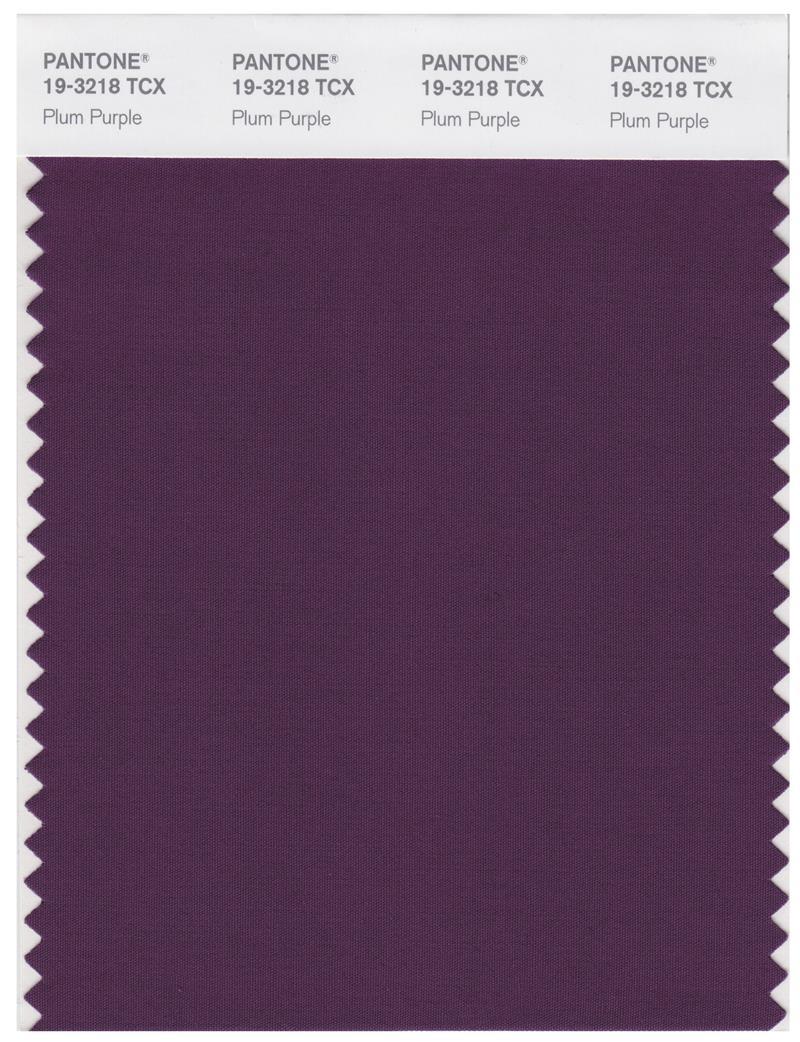 Pantone Smart 19-3218 TCX Color Swatch Card | Plum Purple
