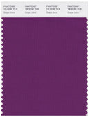Pantone Smart 19-3230 TCX Color Swatch Card | Grape Juice
