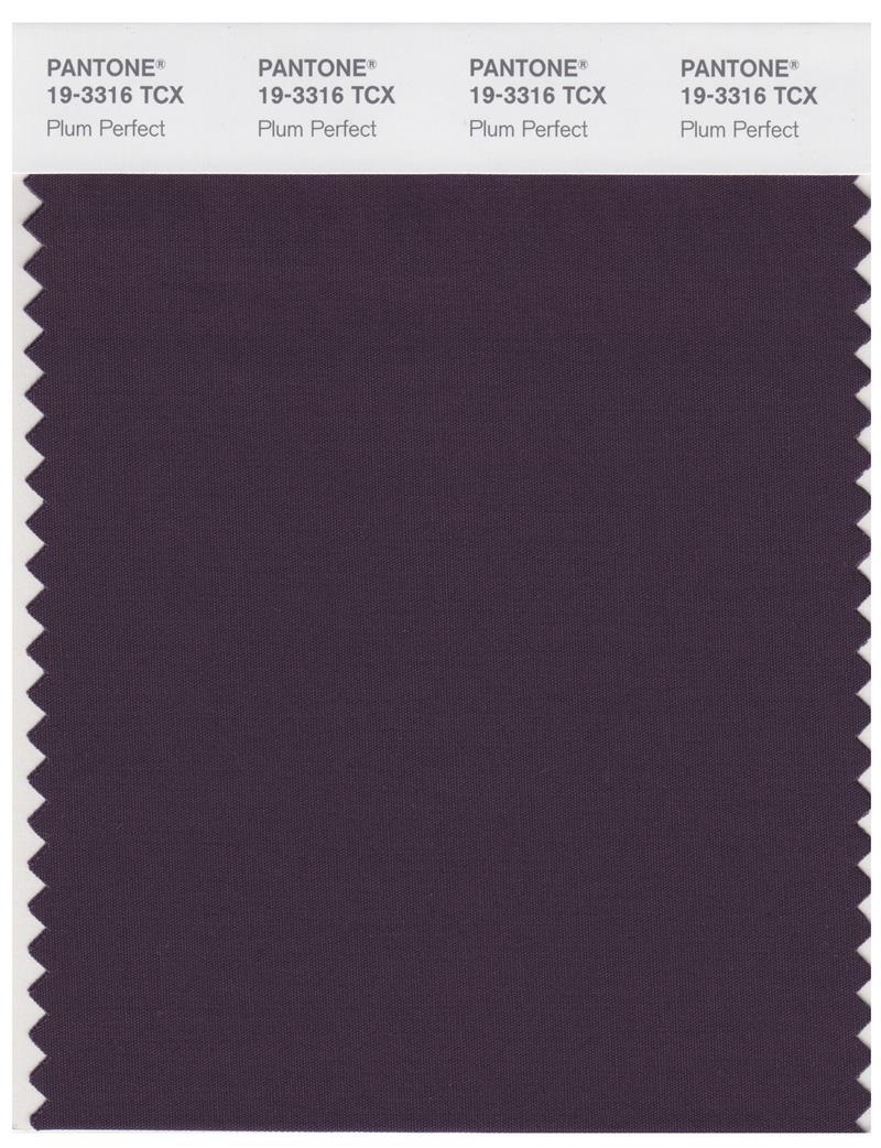 Pantone Smart 19-3316 TCX Color Swatch Card | Plum Perfect