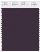 Pantone Smart 19-3316 TCX Color Swatch Card | Plum Perfect