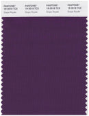 Pantone Smart 19-3518 TCX Color Swatch Card | Grape Royale