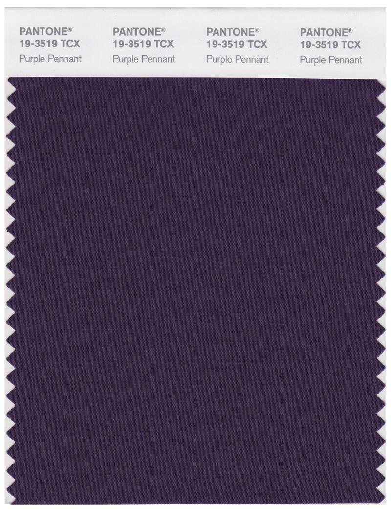 Pantone Smart 19-3519 TCX Color Swatch Card | Purple Pennant
