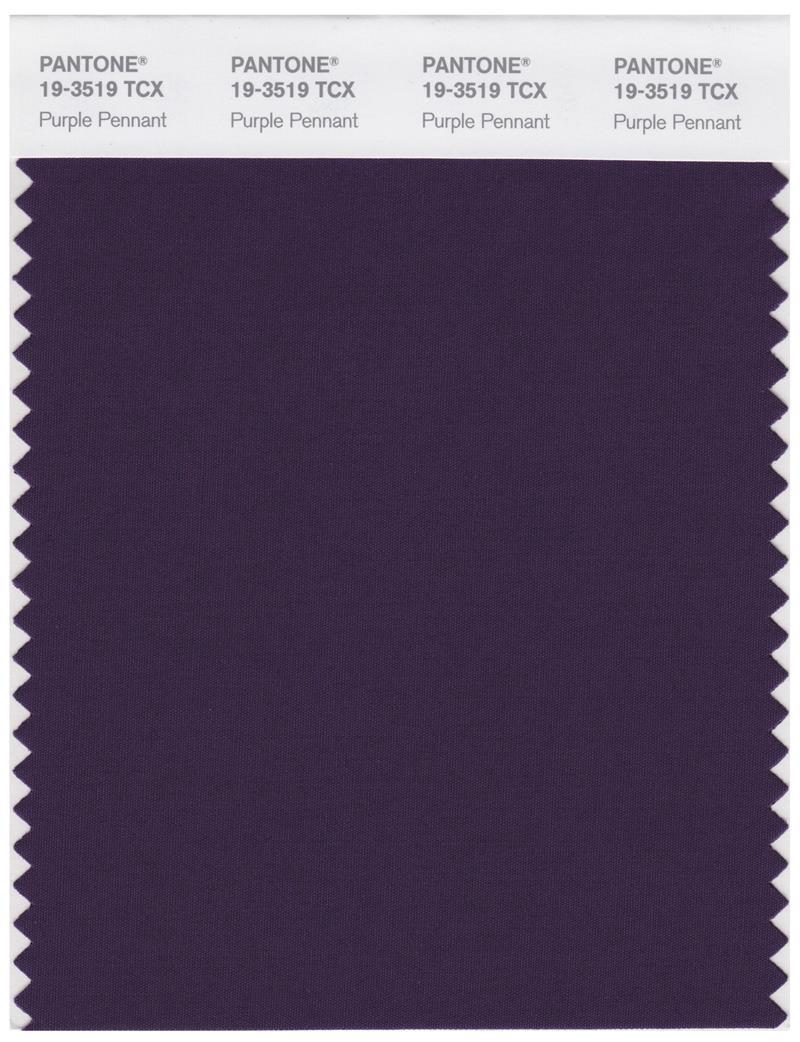Pantone Smart 19-3519 TCX Color Swatch Card | Purple Pennant