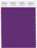 Pantone Smart 19-3540 TCX Color Swatch Card | Purple Magic