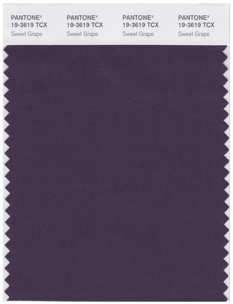 Pantone Smart 19-3619 TCX Color Swatch Card | Sweet Grape