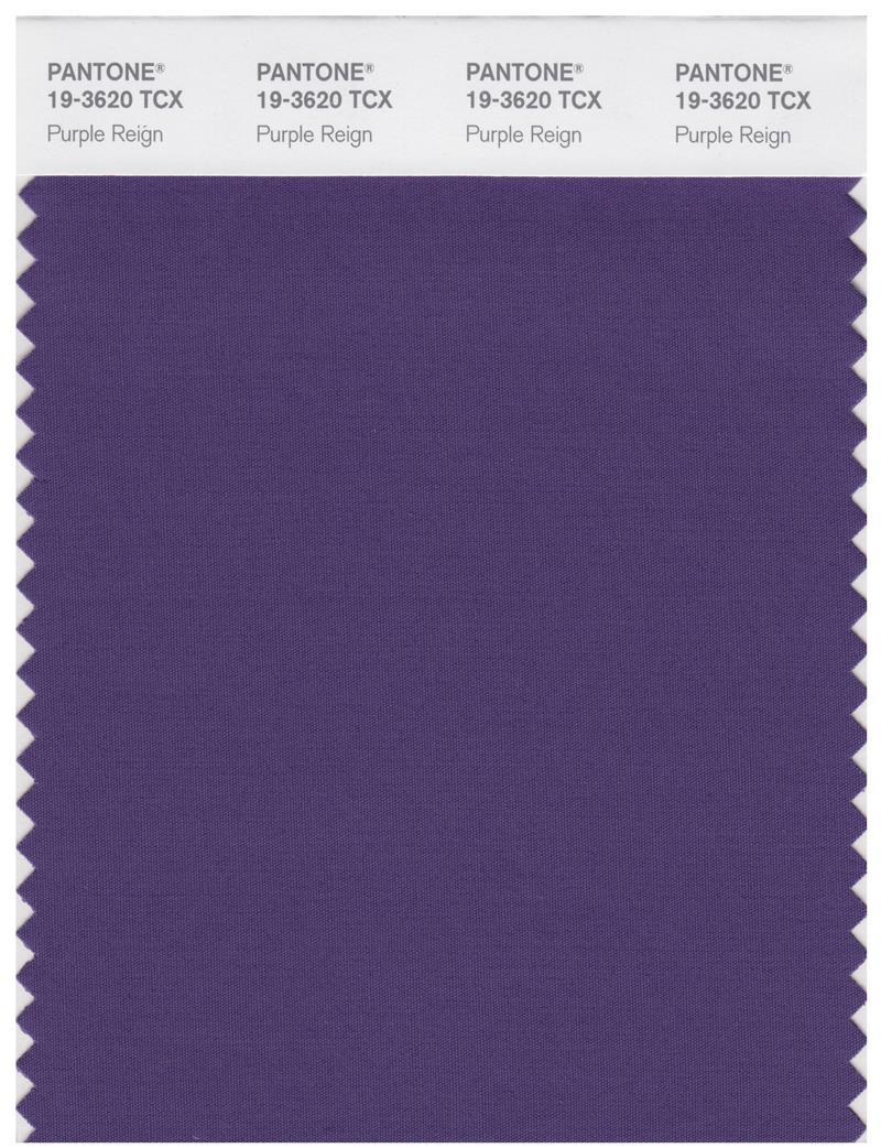 Pantone Smart 19-3620 TCX Color Swatch Card | Purple Reign