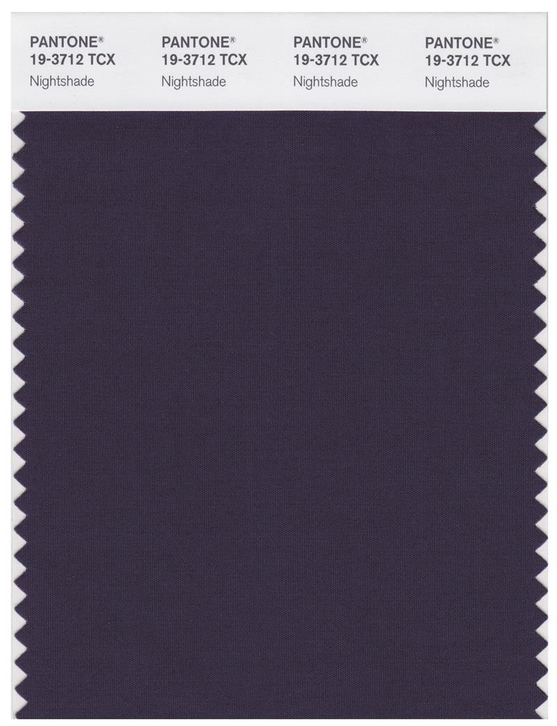 Pantone Smart 19-3712 TCX Color Swatch Card | Nightshade