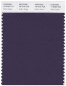 Pantone Smart 19-3720 TCX Color Swatch Card | Gothic Grape