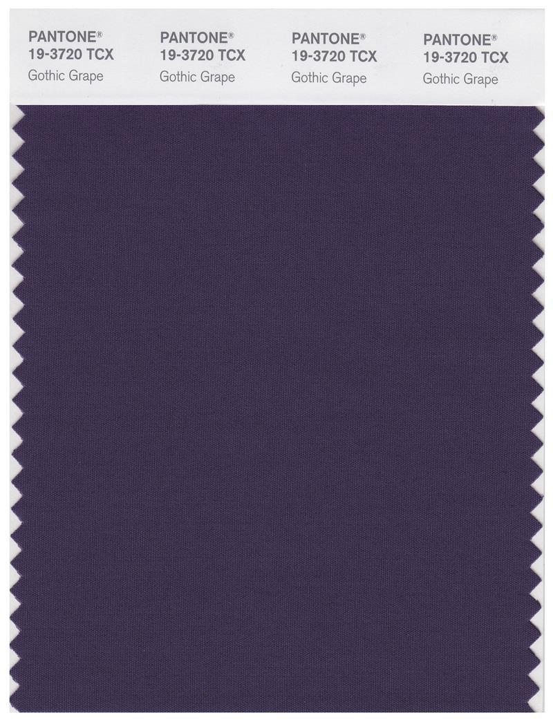 Pantone Smart 19-3720 TCX Color Swatch Card | Gothic Grape