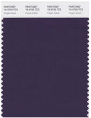 Pantone Smart 19-3725 TCX Color Swatch Card | Purple Velvet