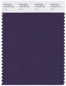 Pantone Smart 19-3728 TCX Color Swatch Card | Grape