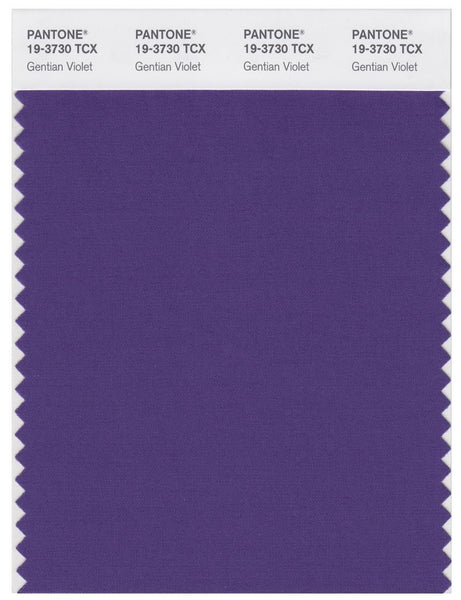PANTONE FASHION＋ / color guide 19-3730_gentianviolet_grande.