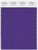 Pantone Smart 19-3748 TCX Color Swatch Card | Prism Violet