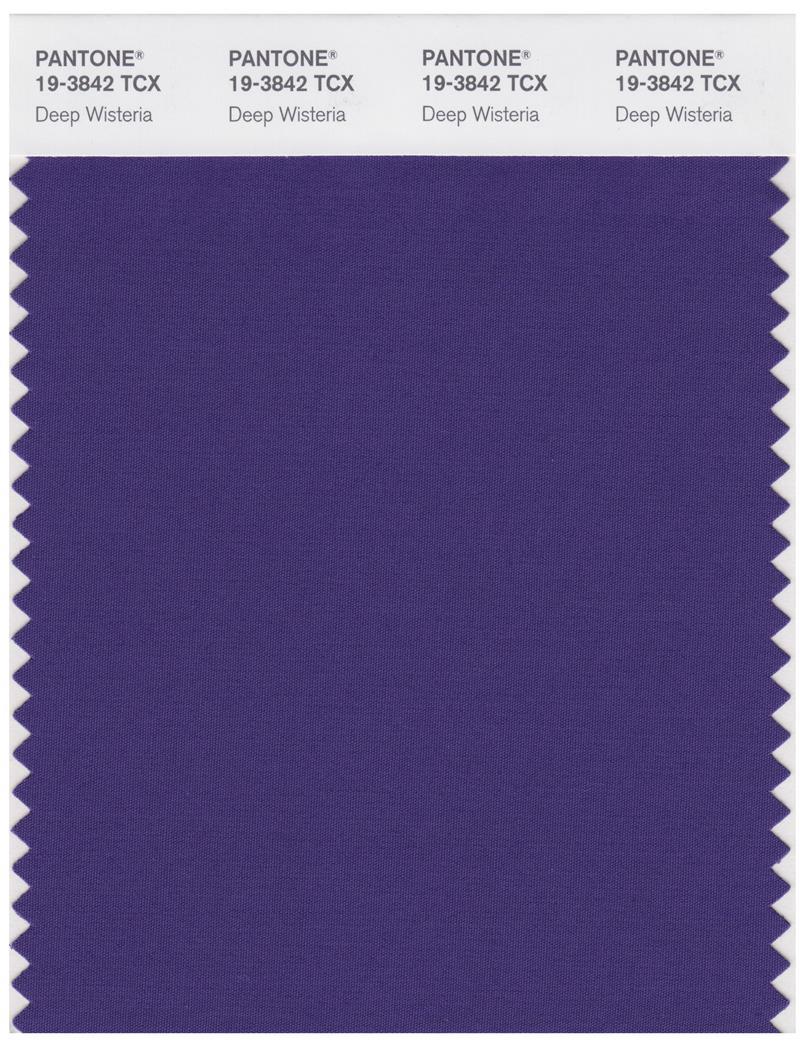 Pantone Smart 19-3842 TCX Color Swatch Card | Deep Wisteria