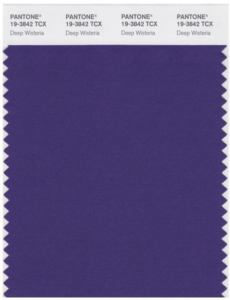 19-3842_deepwisteria_grande.