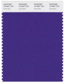 Pantone Smart 19-3847 TCX Color Swatch Card | Deep Blue