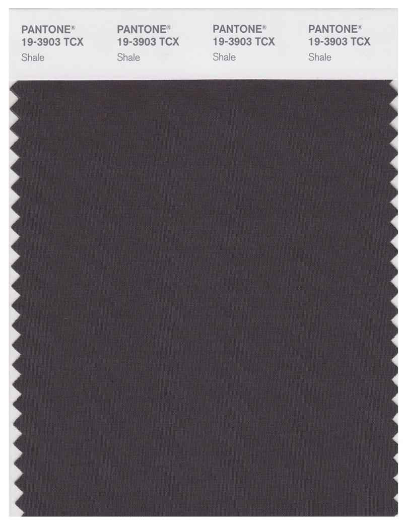 Pantone Smart 19-3903 TCX Color Swatch Card | Shale