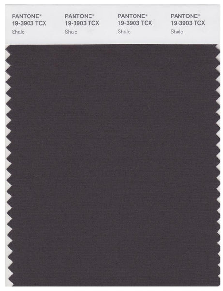 その他 PANTONE for fashion and  COLOR CARD Pantone Smart 19-3903 TCX Color Swatch Card | Shale | Magazine
