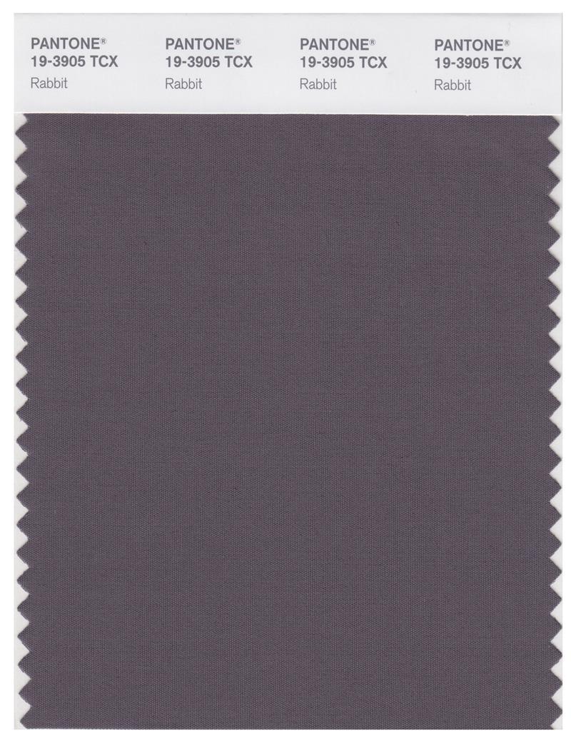 Pantone Rabbit Pantone Smart 19-3905 TCX Color Swatch Card | Rabbit | Magazine Cafe ...