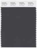 Pantone Smart 19-3906 TCX Color Swatch Card | Dark shadow