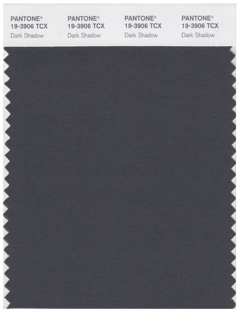 Pantone Smart 19-3906 TCX Color Swatch Card | Dark shadow