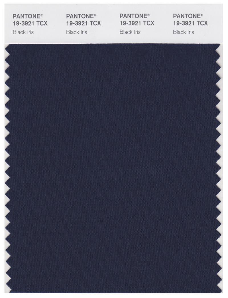 Pantone Smart 19-3921 TCX Color Swatch Card | Black Iris