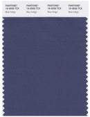 Pantone Smart 19-3928 TCX Color Swatch Card | Blue Indigo