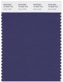 Pantone Smart 19-3935 TCX Color Swatch Card | Deep Cobalt