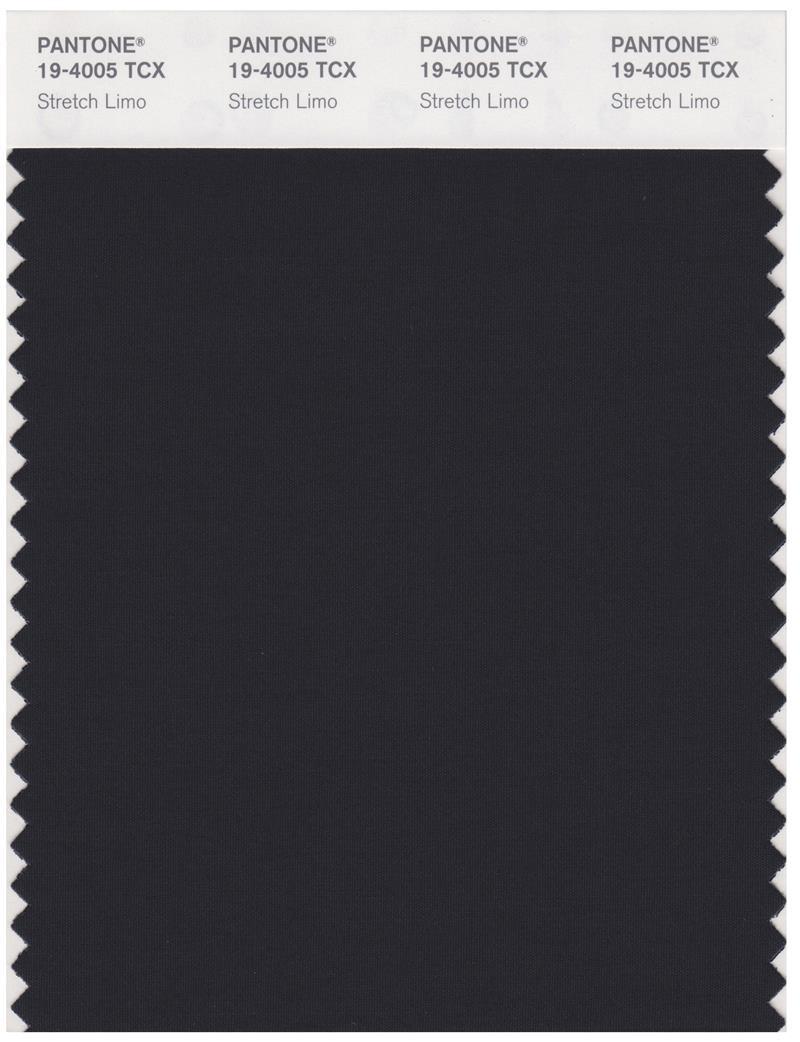 Pantone Smart 19-4005 TCX Color Swatch Card | Stretch Limo