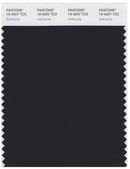 Pantone Smart 19-4007 TCX Color Swatch Card | Anthracite