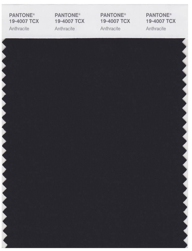 Pantone Smart 19-4007 TCX Color Swatch Card | Anthracite