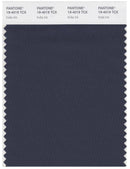 Pantone Smart 19-4019 TCX Color Swatch Card | India Ink