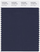 Pantone Smart 19-4025 TCX Color Swatch Card | Mood Indigo