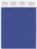 Pantone Smart 19-4037 TCX Color Swatch Card | Bright Cobalt
