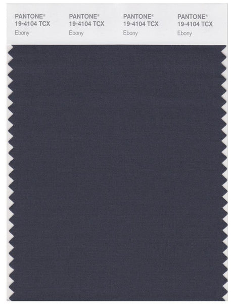 Pantone Smart 19-4104 TCX Color Swatch Card | Ebony | Magazine