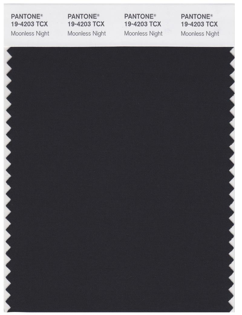 Pantone Smart 19-4203 TCX Color Swatch Card | Moonless Night