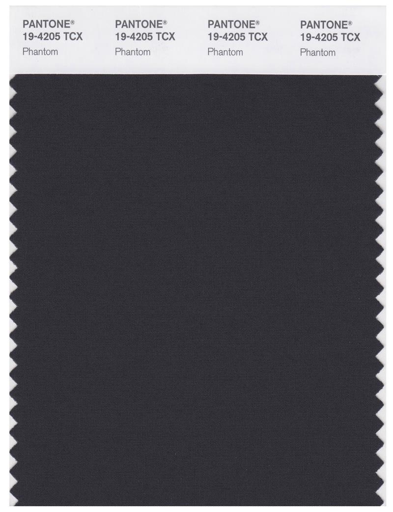 Pantone Smart 19-4205 TCX Color Swatch Card | Phantom