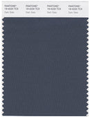Pantone Smart 19-4220 TCX Color Swatch Card | Dark Slate
