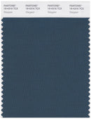 Pantone Smart 19-4316 TCX Color Swatch Card | Stargazer