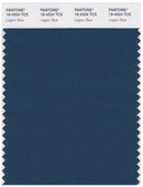 Pantone Smart 19-4324 TCX Color Swatch Card | Legion Blue