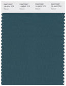 Pantone Smart 19-4820 TCX Color Swatch Card | Balsam