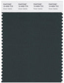 Pantone Smart 19-4906 TCX Color Swatch Card | Green Gables