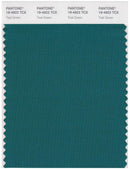 Pantone Smart 19-4922 TCX Color Swatch Card | Teal Green