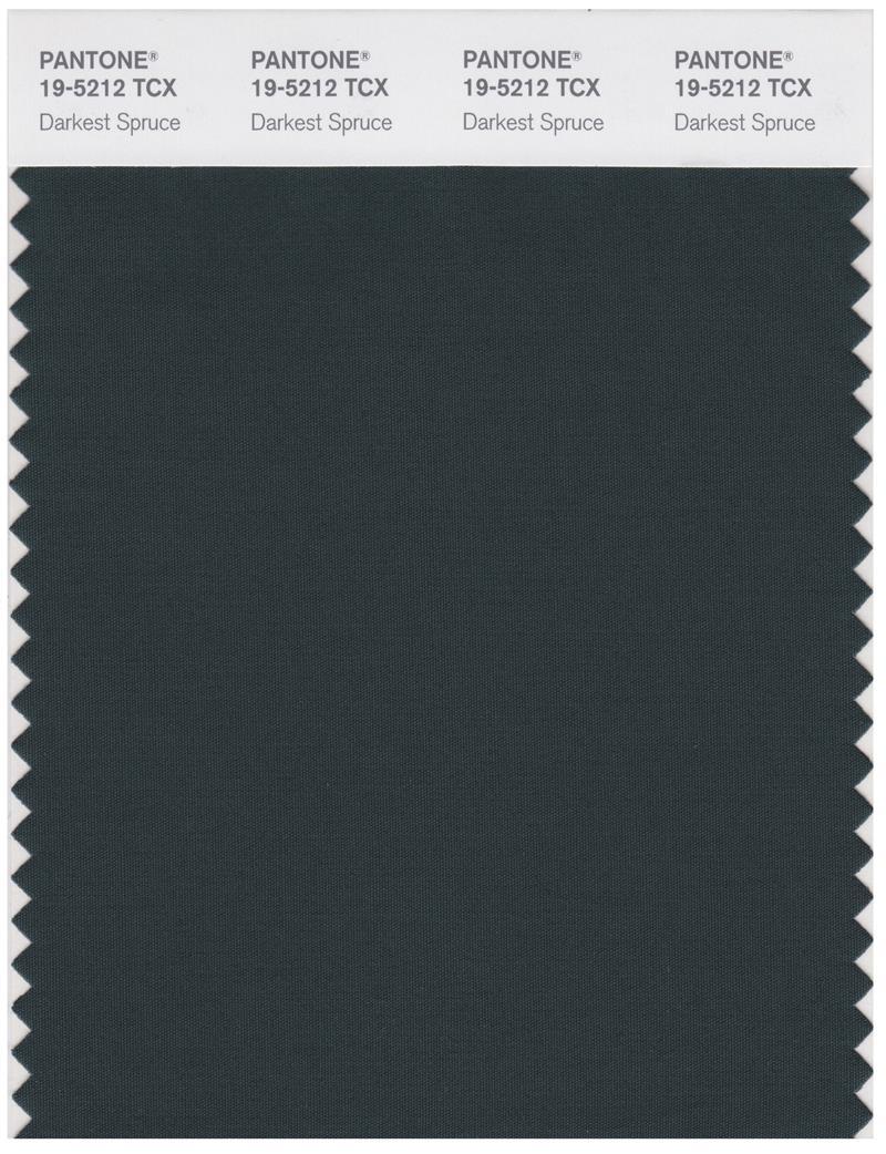 Pantone Smart 19-5212 TCX Color Swatch Card | Darkest Spruce