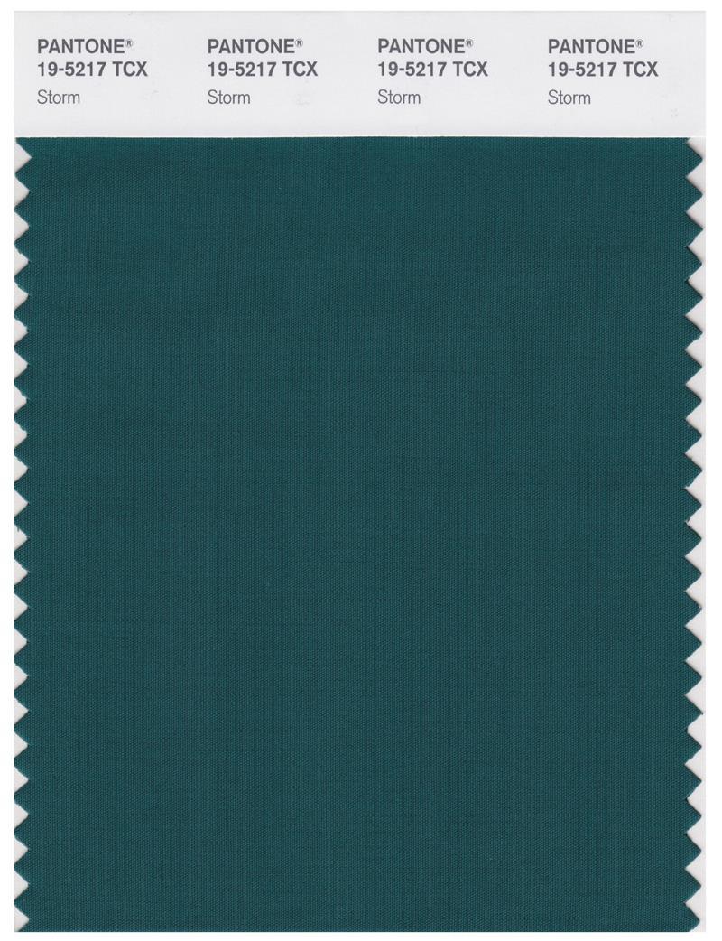 Pantone Smart 19-5217 TCX Color Swatch Card | Storm | Magazine