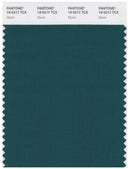 Pantone Smart 19-5217 TCX Color Swatch Card | Storm