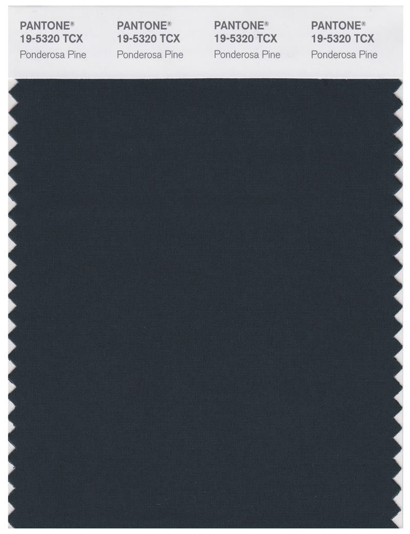 新品　PANTONE カラーガイド 色見本 楽天市場】【大感謝祭p2倍】PANTONE パントン FHI カラーガイド 色見本