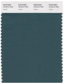 Pantone Smart 19-5413 TCX Color Swatch Card | Jasper