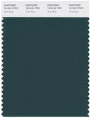 Pantone Smart 19-5414 TCX Color Swatch Card | June Bug